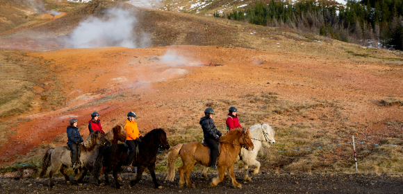 Iceland -Ride, Hot Springs and Whales!